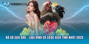 Đá Gà Cựa Dao - Loại Hình Cá Cược Kịch Tính Nhất 2025