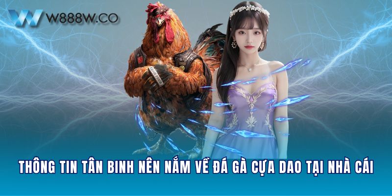 Thông tin tân binh nên nắm về đá gà cựa dao tại nhà cái