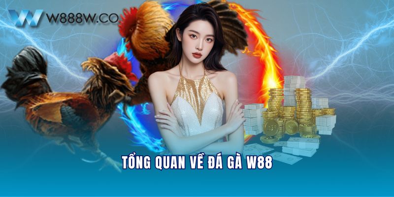 Tổng quan về Đá Gà W88