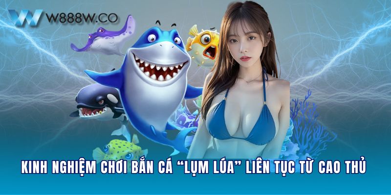 Kinh nghiệm chơi bắn cá “lụm lúa” liên tục từ cao thủ 