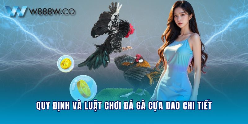 Quy định và luật chơi đá gà cựa dao chi tiết