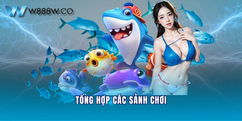 Tổng hợp các sảnh chơi